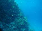DSC03993.JPG