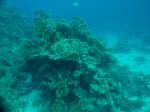 DSC04029.JPG