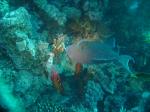 DSC04144.JPG