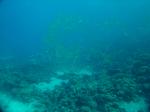 DSC04148.JPG