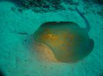 DSC04151.JPG
