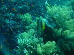 DSC04242.JPG