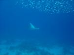DSC04251.JPG