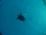 DSC04297.JPG