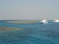 DSC04654
