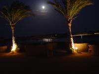 DSC07764.JPG