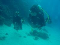 DSC01249.JPG