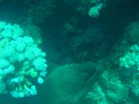 DSC01297.JPG
