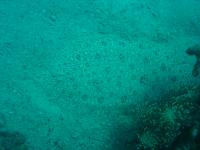 DSC01334.JPG