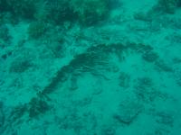 DSC01414.JPG