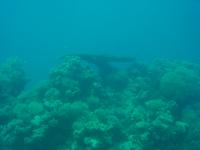 DSC01423.JPG