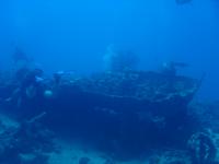 DSC01466.JPG
