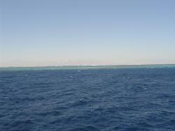 DSC08254.JPG