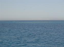 DSC08371.JPG