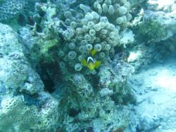 PICT8670.JPG