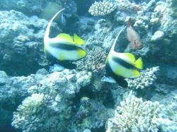 PICT8675.JPG