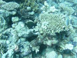 PICT8680.JPG