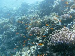 PICT8683.JPG