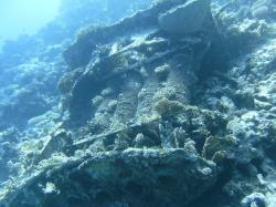 PICT8708.JPG