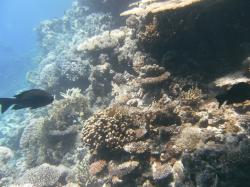 PICT8717.JPG