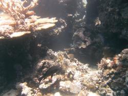 PICT8719.JPG