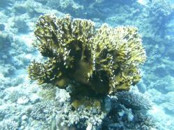 PICT8737.JPG