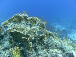 PICT8740.JPG