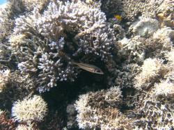 PICT8743.JPG