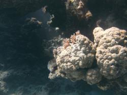 PICT8744.JPG