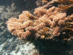 PICT8753.JPG