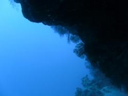 PICT8774.JPG