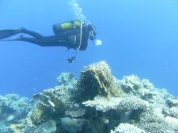 PICT8785.JPG