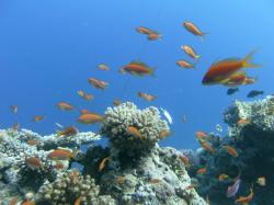 PICT8797.JPG