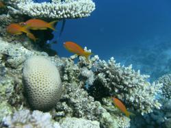 PICT8798.JPG