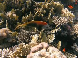 PICT8803.JPG