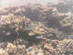 PICT8814.JPG