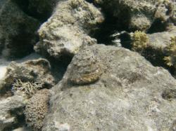 PICT8816.JPG