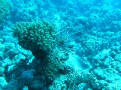 PICT8825.JPG