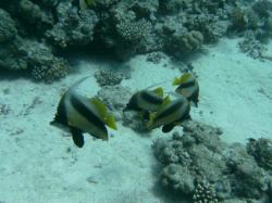 PICT8834.JPG