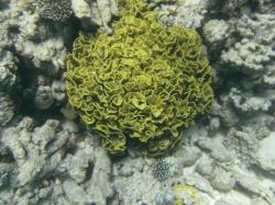 PICT8837.JPG