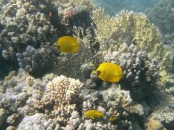 PICT8839.JPG
