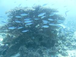 PICT8851.JPG
