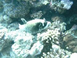 PICT8855.JPG