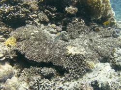 PICT8912.JPG