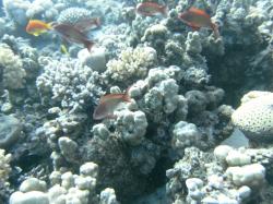 PICT8943.JPG