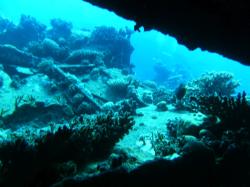 PICT8994.JPG