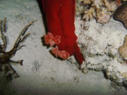 PICT9035.JPG