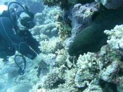 PICT9097.JPG