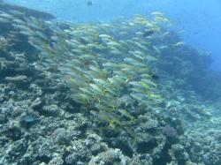 PICT9107.JPG