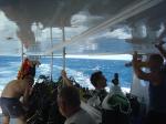 DSC04537.JPG